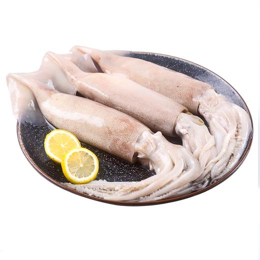 大鱿鱼1Kg  袋箱可选  批 商品图0