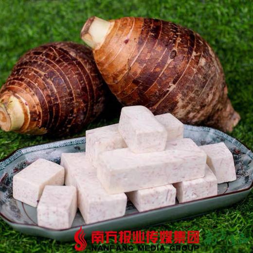 【珠三角包邮】炭步文岗芋头  3.5—4.5斤/个  （次日到货） 商品图2