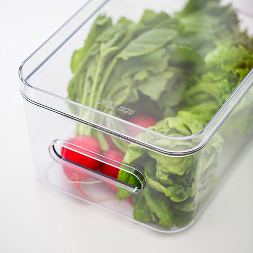 透明冰箱收纳盒 大号 5.3L 29.5x19.5x12 cm P 商品图0