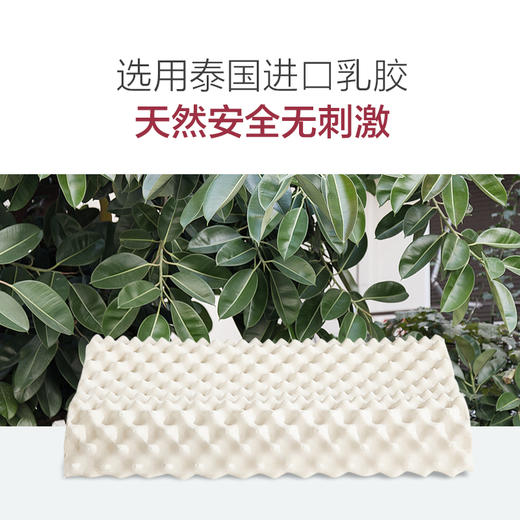 【家庭装/一对装】一默泰国进口天然乳胶乳胶枕成人榴莲型乳胶枕 贴合颈椎 护颈枕 商品图6