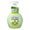 CJ抗菌洗手液青葡萄250mlCJ아이깨끗해청포도/용기250ml 商品缩略图0