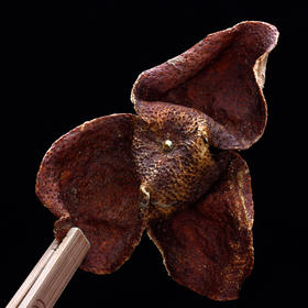 小村长私厨丨胶原满满，新会陈皮鲍鱼花胶汤