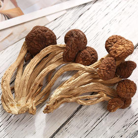 十方田茶树菇200克