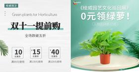 11月8日|园艺文化巡回展