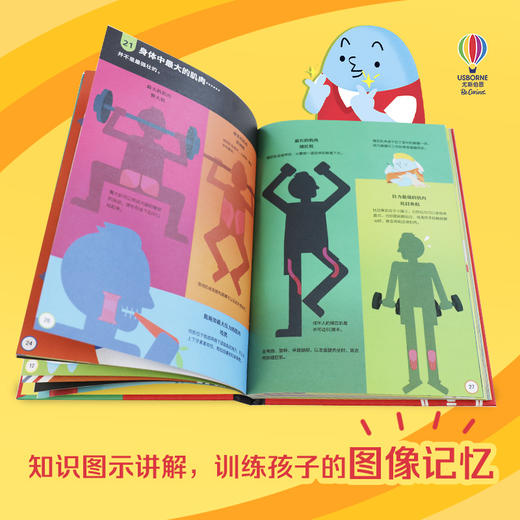 少年科学院（共3册） 商品图5