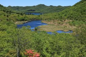 日本祭典与盛会--季节性节庆之红叶
