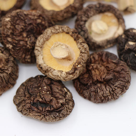 十方田金钱菇 250g 商品图0