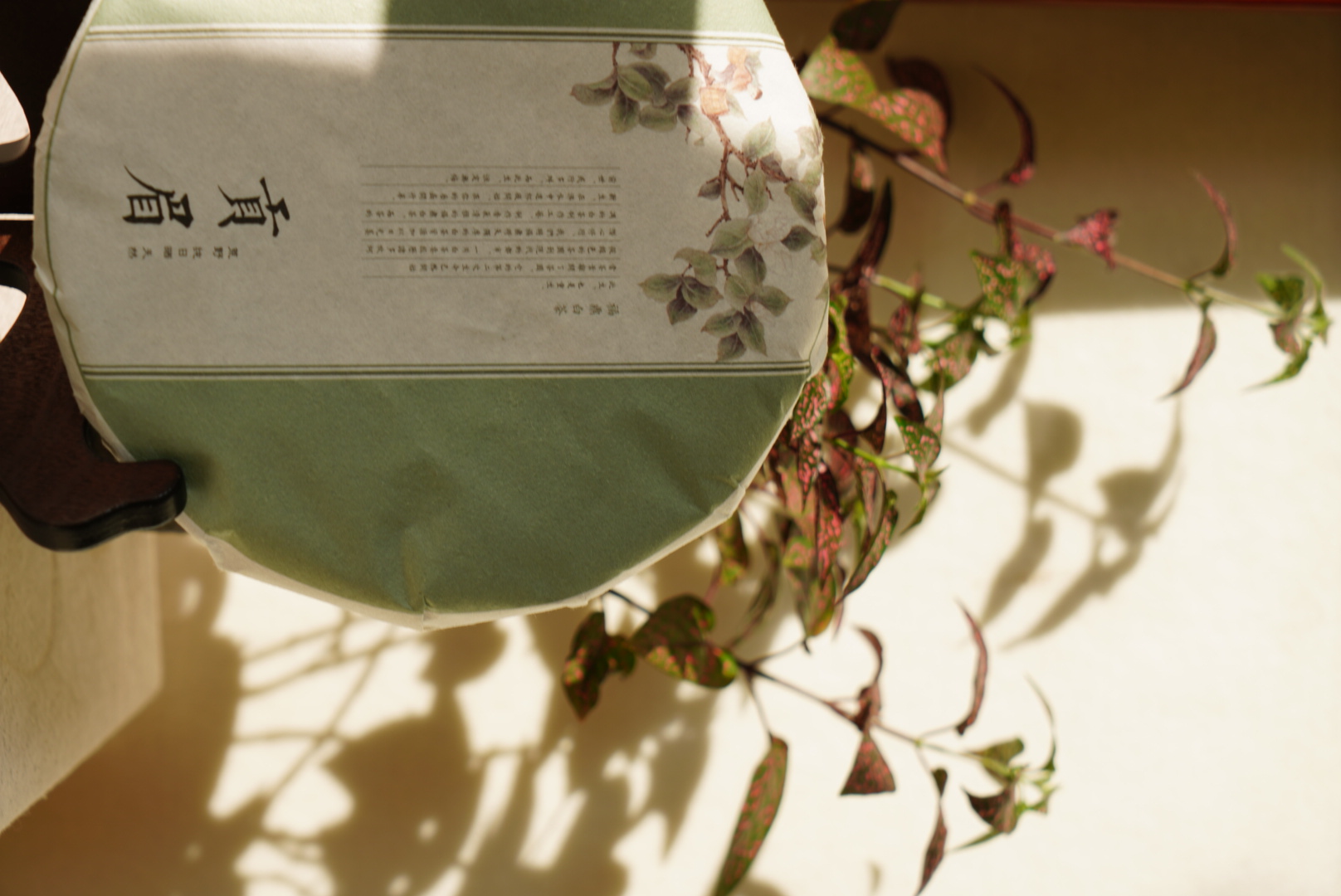 福鼎贡眉白茶茶饼2011