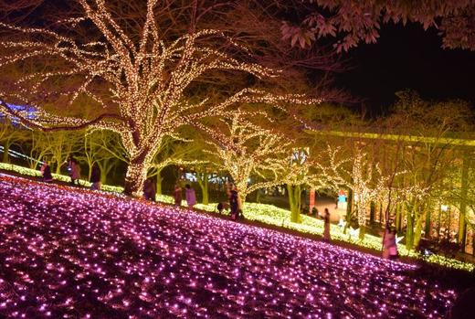 日本祭典与盛会--季节性节庆之红叶 商品图12