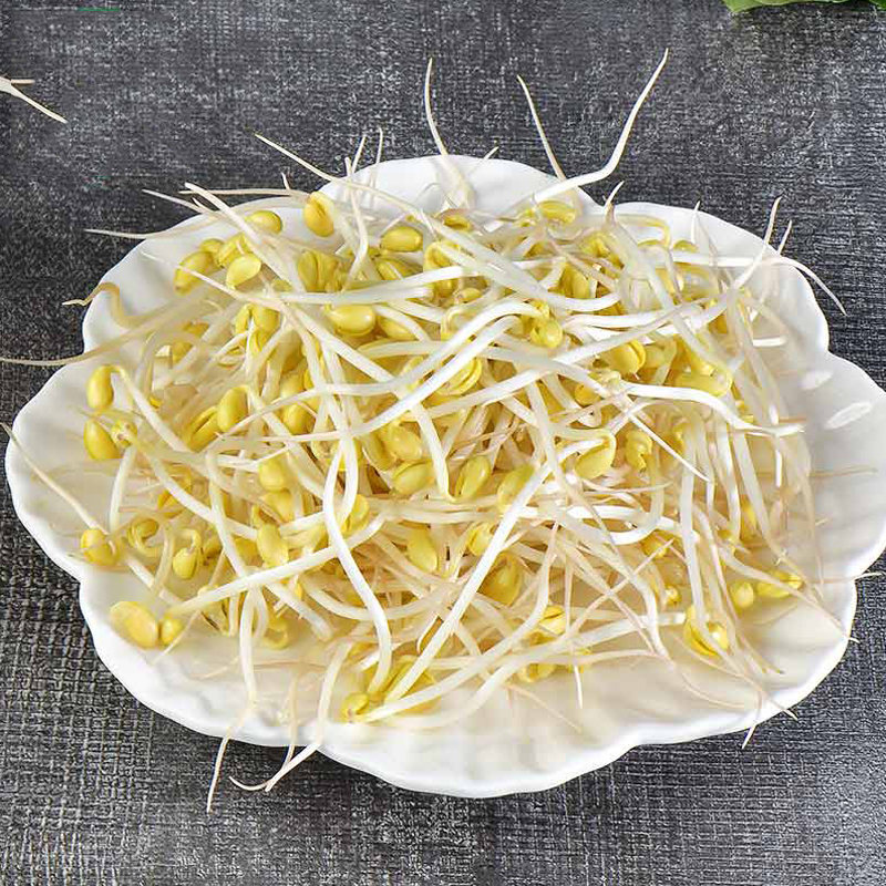 黄豆芽 400g