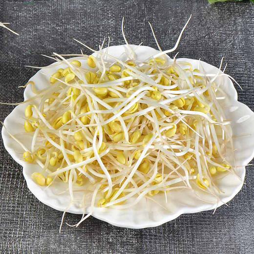 黄豆芽 400g 商品图0