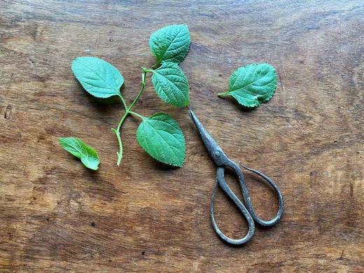 老铁铸刻量尺与老铁剪刀， 顺丰包邮 商品图11