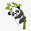 【与英美外教学单词发音例句】--Day1-1-【panda】 商品缩略图0