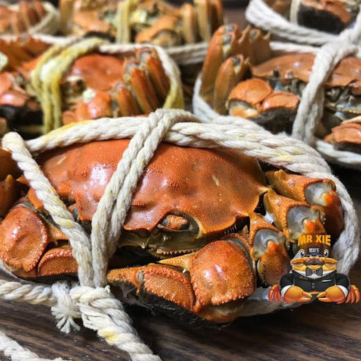 蟹鲜生大闸蟹 商品图4