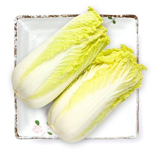 娃娃菜500g±50g/份 商品图0