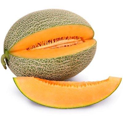 【9元1个】卡波密1个约3斤（1501645） 商品图0