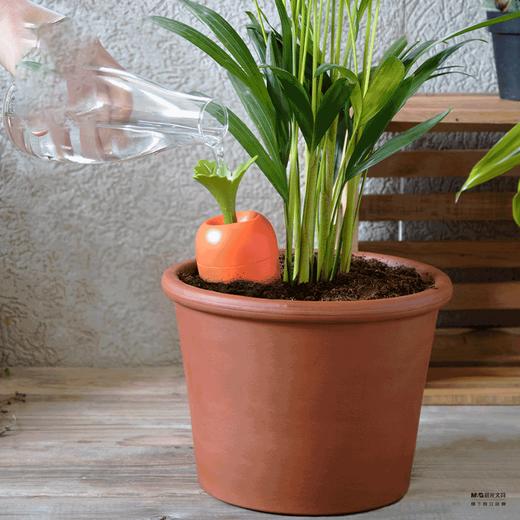 Peleg Design正品自动浇水器绿植浇灌器可爱胡萝卜造型 商品图3