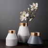 【装饰品】*北欧轻奢陶瓷花瓶现代简约陶瓷工艺品客厅花瓶摆件陶瓷家居装饰品 商品缩略图1