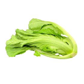大芥菜  500g/份