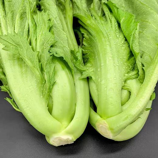 大芥菜 商品图1