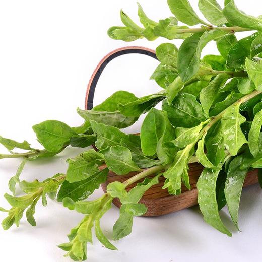 枸杞菜 500g/份 商品图0