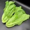 大芥菜 商品缩略图3