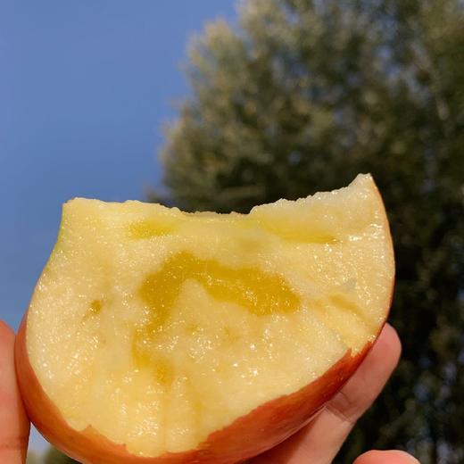 库尔勒一级香梨冰糖心苹果组合8斤装 商品图4