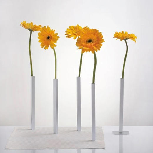 以色列Peleg Design磁性简约花瓶MagneticVase摆 5件装（不含花） 商品图1