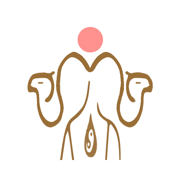 沙漠动力城市养驼人210719