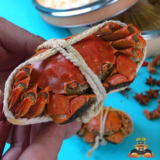 蟹鲜生大闸蟹 商品图5