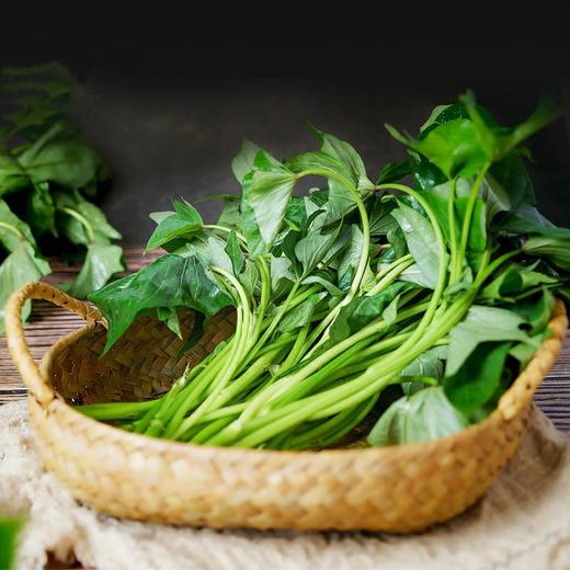 红薯叶（1把） 商品图1