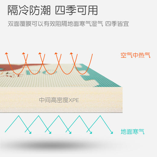 【单片】曼龙拼接XPE宝宝爬行垫加厚2CM婴儿童泡沫地垫58*58（新老版随机，不能指定） 商品图4