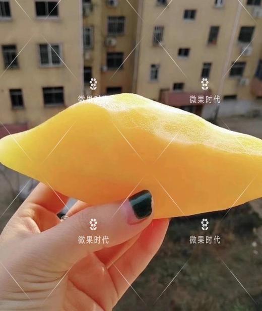 雪莲果一箱 商品图5