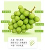 【日本晴王】阳光玫瑰葡萄  5斤/箱 商品缩略图2
