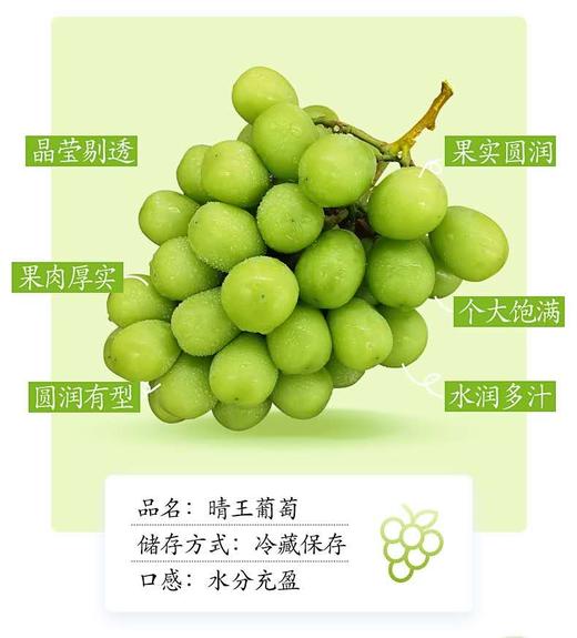 【日本晴王】阳光玫瑰葡萄  5斤/箱 商品图2