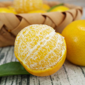 【武皇都爱】皇帝柑 御品贡品 爽脆化渣丹霞山脚下 长在树上的“爆汁橙”