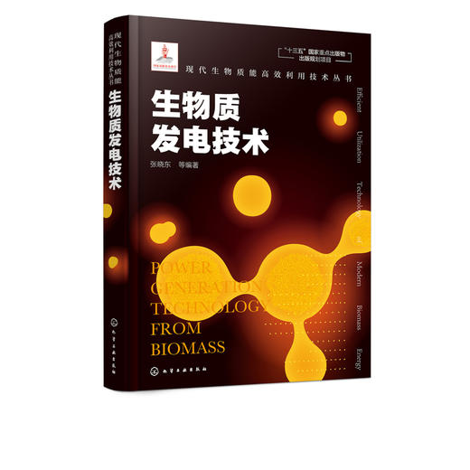 现代生物质能高效利用技术丛书 生物质发电技术 商品图5
