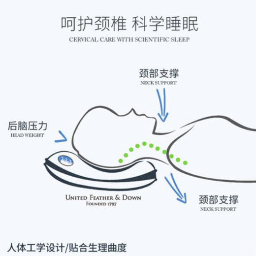 UNITED FEATHER & DOWN美国羽绒枕护颈椎枕75鹅绒枕 商品图2