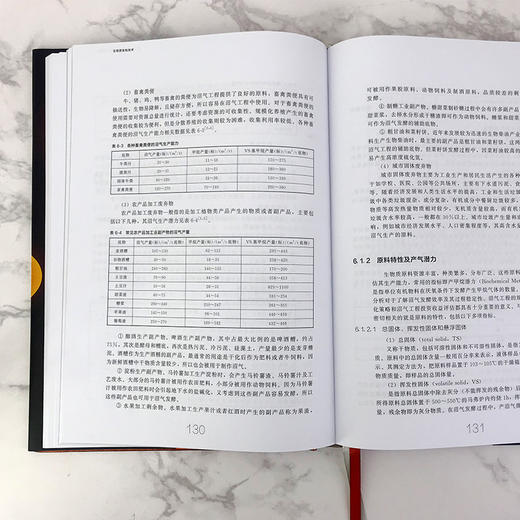 现代生物质能高效利用技术丛书 能源微藻利用技术 商品图2