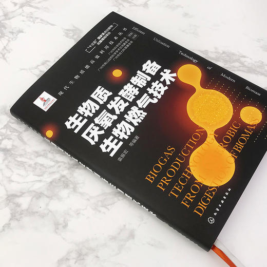 现代生物质能高效利用技术丛书 生物质厌氧发酵制备生物燃气技术 商品图4