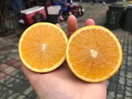 倾情推荐云南玉溪黄金橙[耶][耶]!细腻无渣,满口橙香!