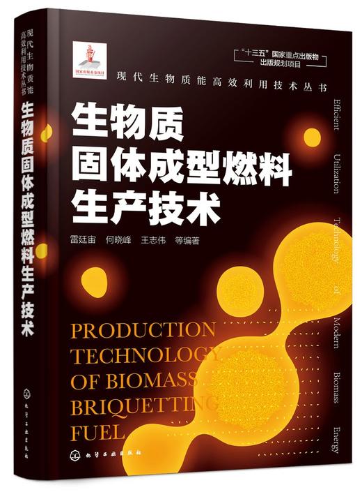 现代生物质能高效利用技术丛书 生物质固体成型燃料生产技术 商品图0