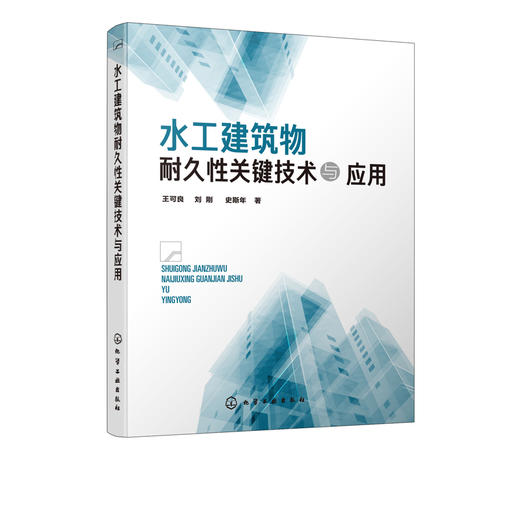 水工建筑物耐久性关键技术与应用 水工建筑物耐久性研究 橡胶粉混凝土制备关键技术 橡胶粉混凝土力学变形断裂和耐久性能研究书籍 商品图5