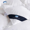 UFD波兰羽绒被白鹅绒冬被加厚保暖双人被芯鹅绒被单人被芯春秋被 商品缩略图2