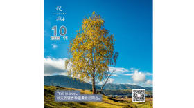 【花丘•心语】