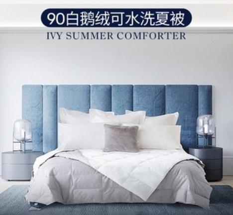 UFD空调被可水洗夏被90白鹅绒轻薄夏凉被双人夏季被酒店羽绒被 商品图0