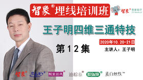 第12集 智象埋线王子明四维三通特技