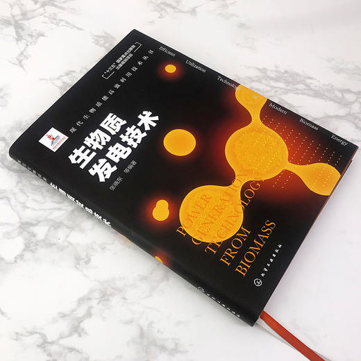 现代生物质能高效利用技术丛书 能源微藻利用技术 商品图3