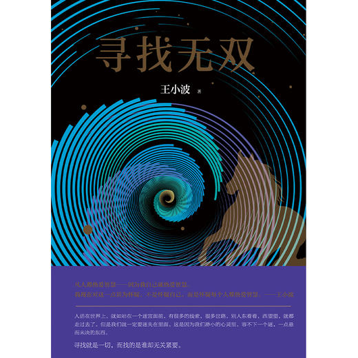 王小波：寻找无双 商品图3