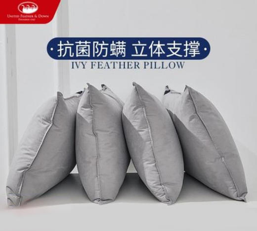 UNITED FEATHER&DOWN美国羽绒枕单人枕芯护颈椎 商品图1